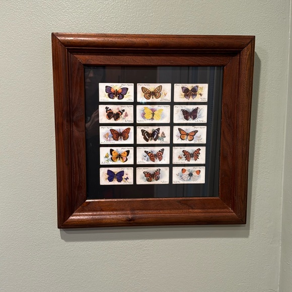 Unique Vintage Other - Vintage 1932 John Player Cigarette Cards BUTTERFLIES in Beautiful Wooden Frame